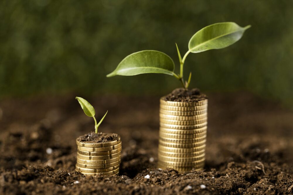 Melhores Investimentos Conservadores para o seu Dinheiro